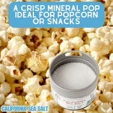 Load image into Gallery viewer, California Sea Salt Gourmet Salts Gustus Vitae