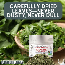 Load image into Gallery viewer, Coriander Leaves (Cilantro) Gourmet Seasonings Gustus Vitae