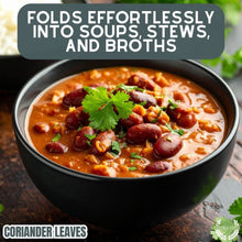 Load image into Gallery viewer, Coriander Leaves (Cilantro) Gourmet Seasonings Gustus Vitae