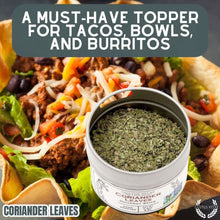 Load image into Gallery viewer, Coriander Leaves (Cilantro) Gourmet Seasonings Gustus Vitae