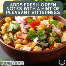 Load image into Gallery viewer, Coriander Leaves (Cilantro) Gourmet Seasonings Gustus Vitae