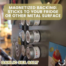 Load image into Gallery viewer, Garlic Salt | Sea Salt Seasoning Gourmet Seasonings Gustus Vitae