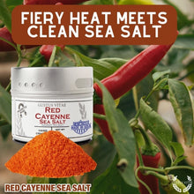 Load image into Gallery viewer, Red Cayenne Sea Salt Gourmet Salts Gustus Vitae