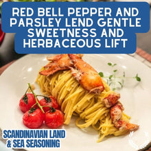 Load image into Gallery viewer, Scandinavian Land &amp; Sea Seasoning Gourmet Seasonings Gustus Vitae