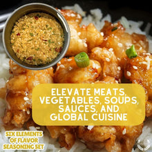 Load image into Gallery viewer, Six Elements Of Flavor Seasoning Set Collections &amp; Gift Sets Gustus Vitae