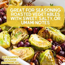Load image into Gallery viewer, Six Elements Of Flavor Seasoning Set Collections &amp; Gift Sets Gustus Vitae