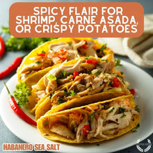 Load image into Gallery viewer, Spicy Habanero Sea Salt Gourmet Salts vendor-unknown