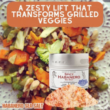 Load image into Gallery viewer, Spicy Habanero Sea Salt Gourmet Salts vendor-unknown