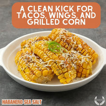 Load image into Gallery viewer, Spicy Habanero Sea Salt Gourmet Salts vendor-unknown