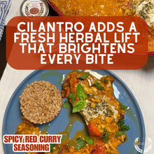 Load image into Gallery viewer, Spicy Red Curry Seasoning Gourmet Seasonings Gustus Vitae