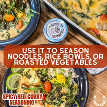 Load image into Gallery viewer, Spicy Red Curry Seasoning Gourmet Seasonings Gustus Vitae