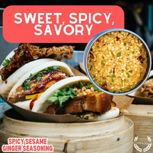 Load image into Gallery viewer, Spicy Sesame Ginger Seasoning Gourmet Seasonings Gustus Vitae