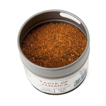 Load image into Gallery viewer, Fiery Flavors Gourmet Seasoning and Rub Collection - 3 Tins Collections &amp; Gift Sets Gustus Vitae
